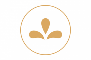 Примеры наших работ