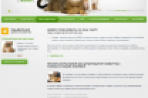 Зооветцентр (верстка)