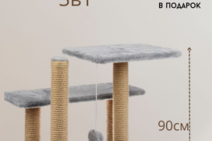 Инфографика