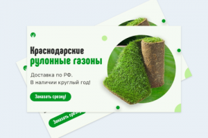 Краснодарские газоны