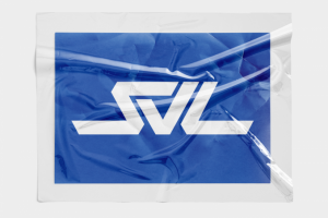 Логотип и айдентика для транспортной компании — SV LINE