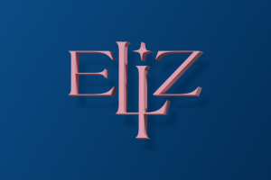 Логотип и брендинг для студии маникюра — Eliz