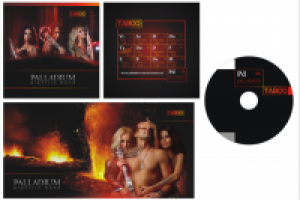 Оформление диска группы "PALLADIUM"