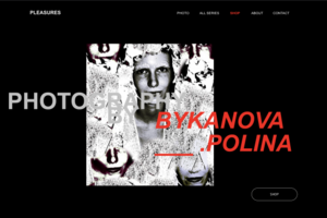 Artist Portfolio