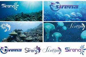 Разработка логотипа