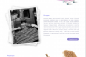 Дизайн главной страницы сайта кондитерской пончиков Mollys