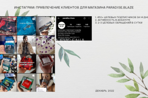 Привлечение клиентов для магазина Paradise.Blaze