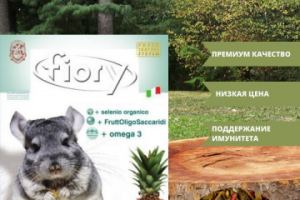 Инфографика товара "Корм для шиншилл"