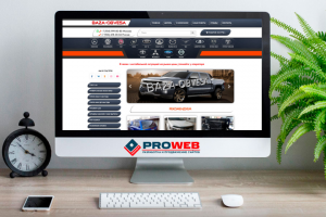 Портфолио 1