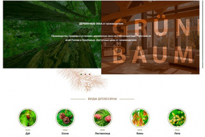 Разработка сайта для компании по продаже окон и дверей