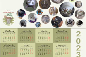 Настольный календарь