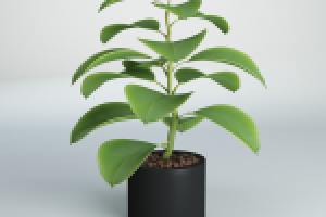 Моделирование комнатных растений для интерьера