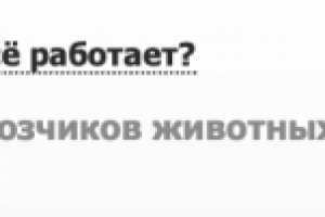 Продвижение в Яндекс по региону Москва