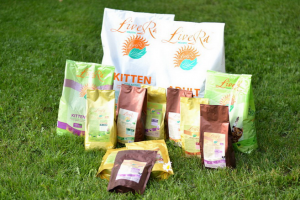 Текст для главной - зоомагазин