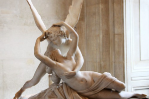 Текст для секс-шопа