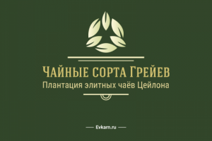 Логотип для компании, выращивающей и продающей чай