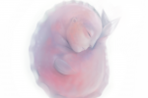 Работа 2821866