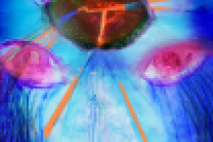 Работа на заказ