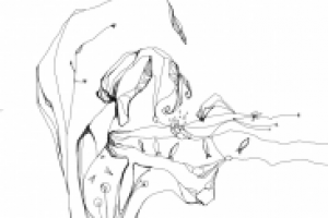 иллюстрация к стихам