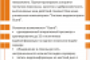 страница из буклета ООО "Программист"