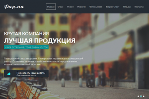 Универсальный сайт-шаблон для различных проектов, 2013 г.