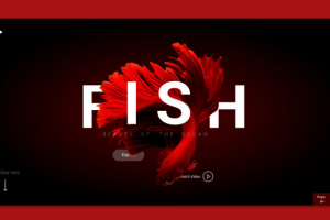 Design Website Fish