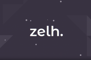 Анимационное видео для компнаини Zelh