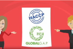 Анимационные видео под ключ для компании Агротрейсер