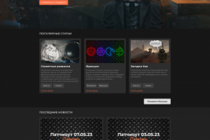 Макет сайта STALCRAFT.WIKI