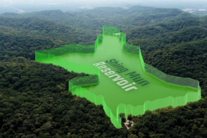 Инфографика