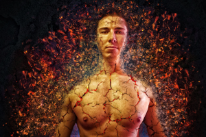 Арт "Феникс"