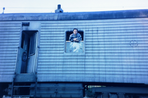 Механик рефсекции ZB-5, АРВЭ