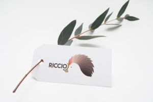 Конкурсная работа. Логотип для магазина "Riccio"