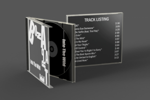 Работа 3984644