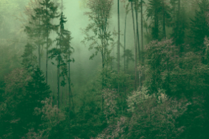 Работа 3984659