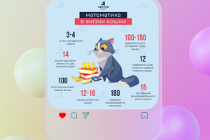 Инфографика для маркетплейсов, Instagram