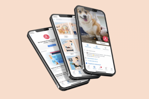 Сделаем оформление сообщества во Вконтакте