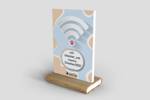 Дизайн листовки и флаера