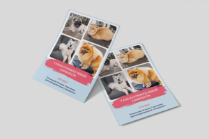 Дизайн листовки и флаера