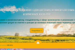 Тексты на сайт семян полевых растений