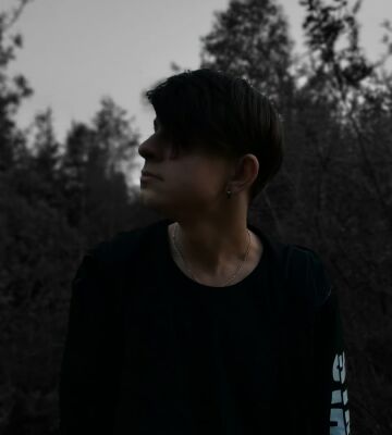 img4224855.png