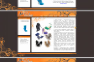 Сайт фирмы Лилу. Продажа обуви.