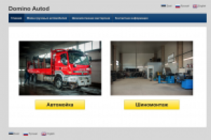 Сайт шиномонтажки и автомойки Domino Auto