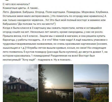 img4451506.png