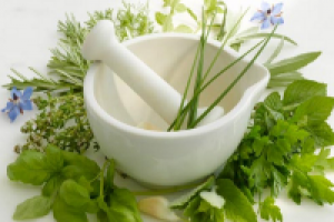 Фитотерапия потенции