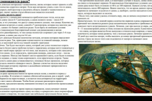 Как размножаются раки?