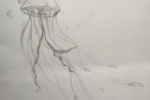 Работа 4432023