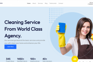 Вёрстка для клининг фирмы