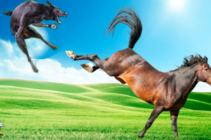 Вирусное видео на Ютуб