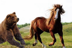 Взрывное видео на канале Клондайк